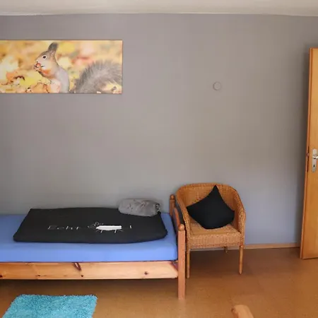 Lui's Apartment Olsberg