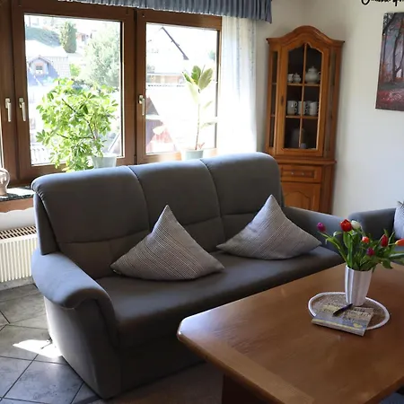 Lui's Apartment Olsberg