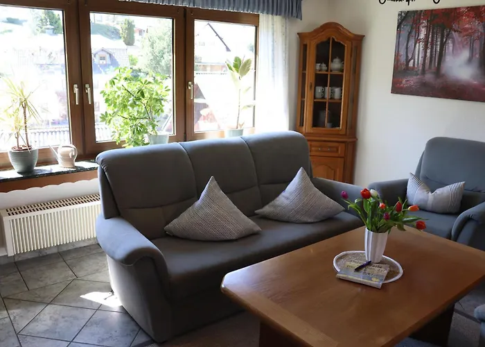 Lui's Appartement Olsberg